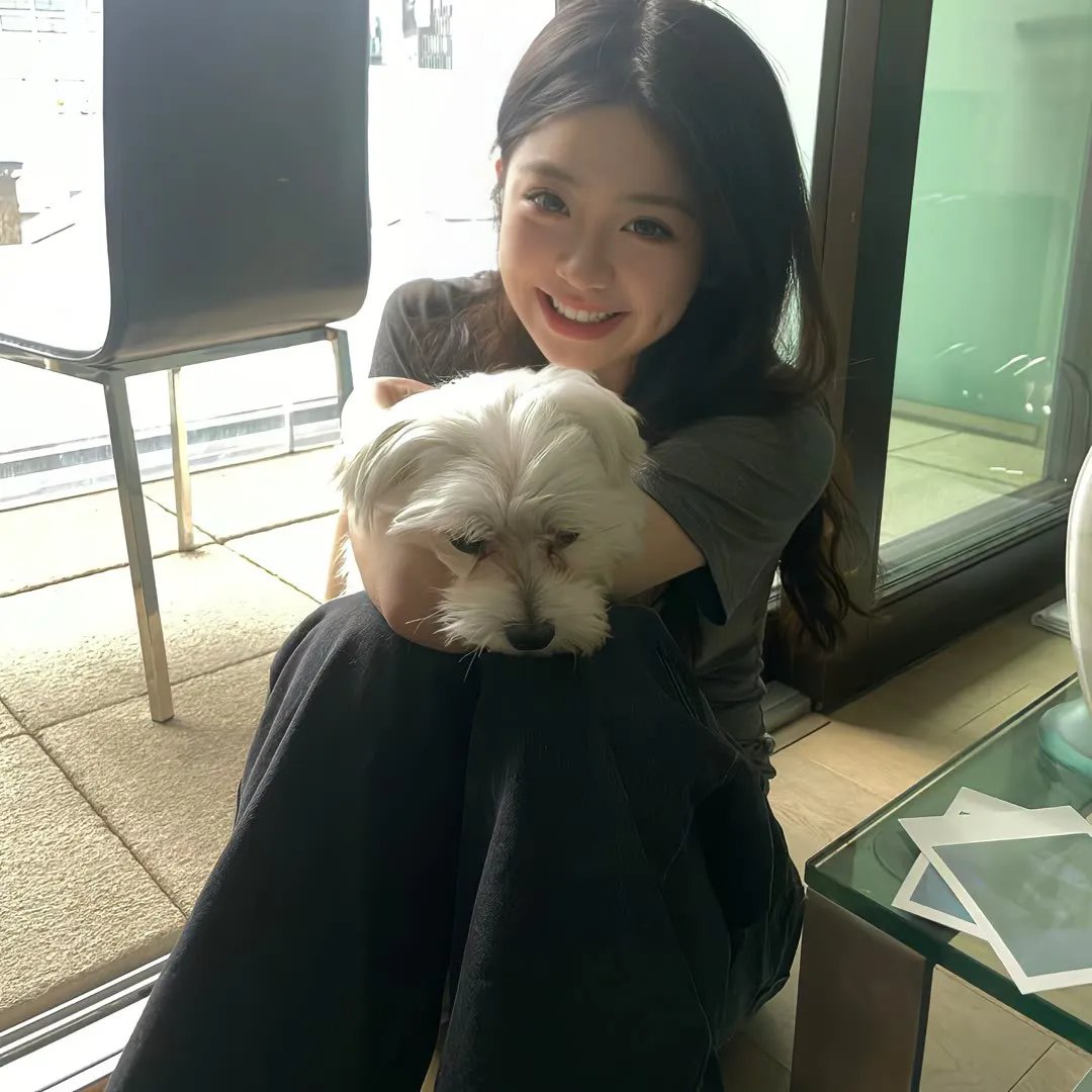 藤本树